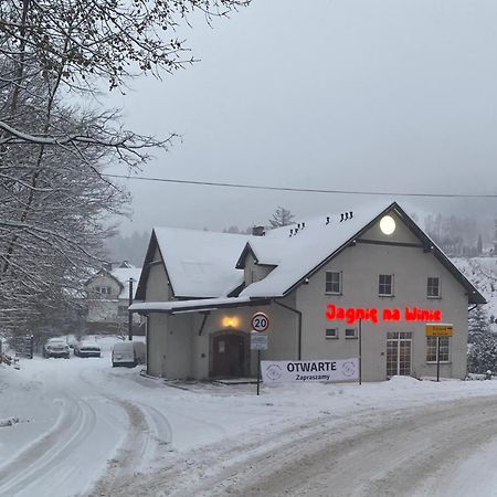 Jagnienawinie Bed and Breakfast Miedzybrodzie Zywieckie Εξωτερικό φωτογραφία